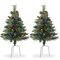 Casafield Set of 2 - 24" Outdoor Pathway Christmas Trees, Realistic Walkway Pre-Lit Holiday Decor with Pinecones and LED Lights